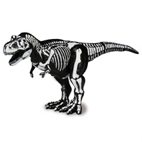 予約 2026年10月24日発売 アニア ティラノサウルス（骨格標本Ver.） お一人さま3点限り 4904810083665(4904810083665)