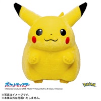 2026年7月1日以降順次お届け ポケモン30周年記念 おかえり！ピカチュウ1/1 お一人さま1点限り 4904810097181(4904810097181)