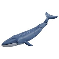 アニア AL-23 シロナガスクジラ（水に浮くVer.） お一人さま3点限り 4904810299684(4904810299684)