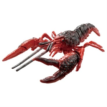 アニア AL-31 アメリカザリガニ お一人さま3点限り 4904810952497