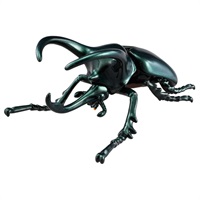 アニア　ＡＬ－１８　アトラスオオカブト お一人さま3点限り 4904810957003(4904810957003)