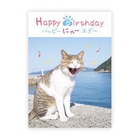 メッセージブック ハッピーにゃースデー （ねこ）(B10045)