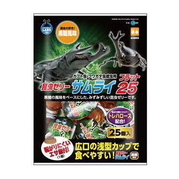 かぶと虫　ミヤビマルーン 外国産カブト羽化第1号(ミヤシタシロカブト) : むしむしブログ