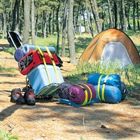 荷締めベルト２ｍ(２ｍ)