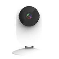 カシムラ スマートカメラ 防水/首振/高輝度 KJ-188 | イオン