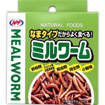 ミルワーム 35g ナチュラルペットフーズ