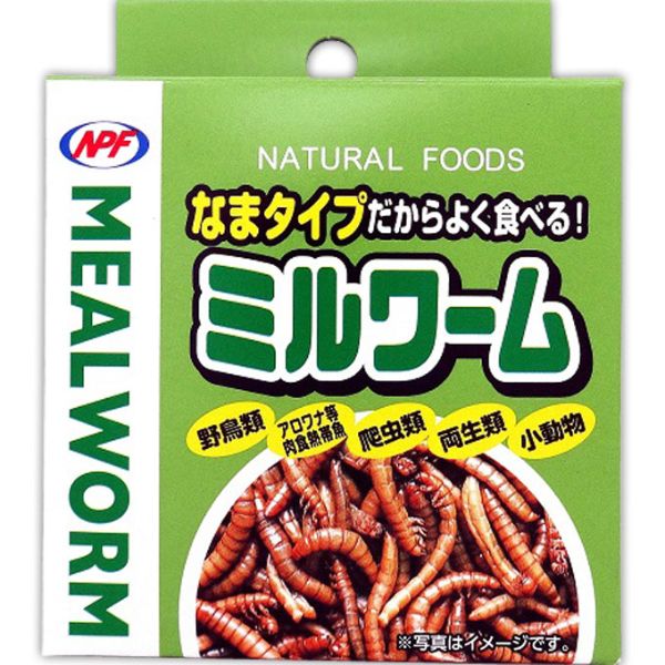 ミルワーム 35g ナチュラルペットフーズ | イオンスタイルオンライン