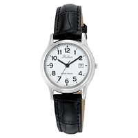 Q&Qウオッチ(D015-304)