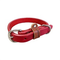 マイスタープラス レザーカラー #15 レッド カワノ産業(#15/レッド)