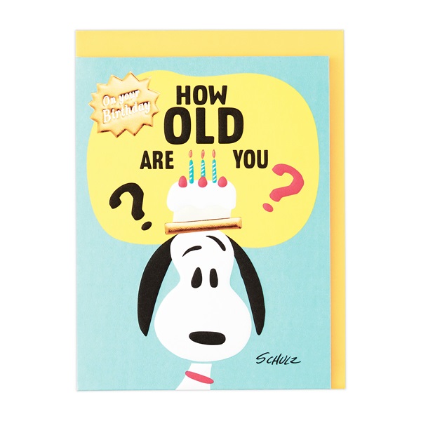 誕生お祝い 立体カード スヌーピー びっくりバースデー | イオン