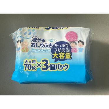 トイレに流せる 大人用 おしりふき 大一紙工