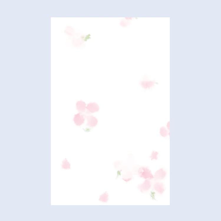 ぽち袋　チキュウグリーティングス　CE200-13　お祝い　金封(4963328324134)