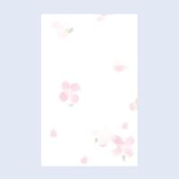 ぽち袋　チキュウグリーティングス　CE200-13　お祝い　金封(4963328324134)