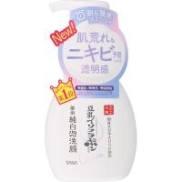 なめらか本舗   薬用純白泡洗顔　サナ (SANA)(本体)