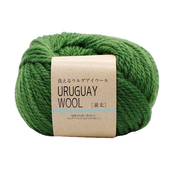 ウルグアイウールウォッシャブル並太 | イオンスタイルオンライン 衣料