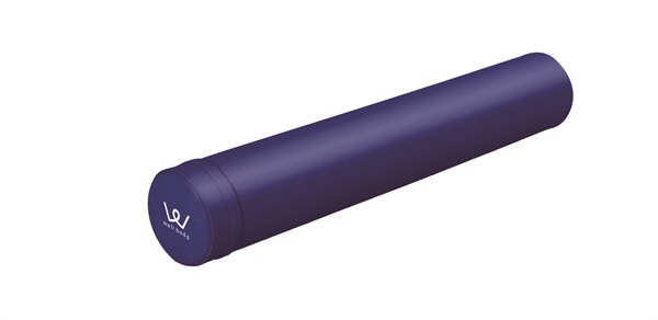 ALINCO FITNESS PRO アルインコストレッチポール 2本セット Amazon | アルインコ(ALINCO) エクササイズポール 姿勢 バランス
