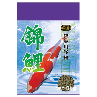 錦鯉 4kg スマック