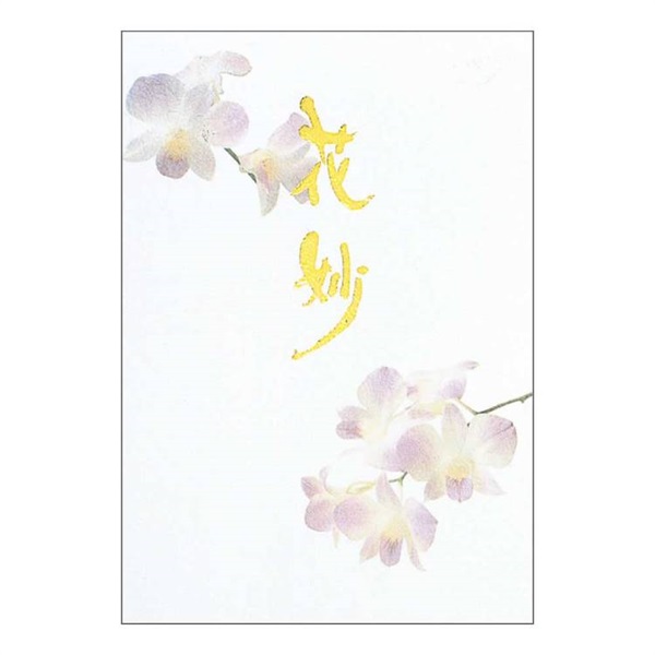 アピカ 便箋 花妙 セン301 便箋 無罫 セミB5 | イオンスタイル