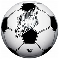 正規品 フランクフルト ラファエル・ボレ 直筆サイン サッカーボール 浦和レッズ サインボール - UP FOR GRABS.