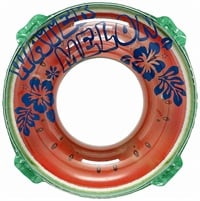 スーパーハイビウキワ 120cm  4970134630793 うきわ 浮き輪(4970134630793)