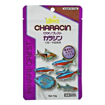 ひかり ひかりクレスト カラシン 12g Hikari キョーリン