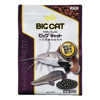 ひかり ひかりクレスト ビッグキャット 570g Hikari キョーリン(570g)