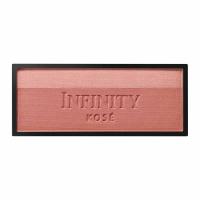 INFINITY(インフィニティ) マット & グロッシー チーク (レフィル) コーセー(RD410)