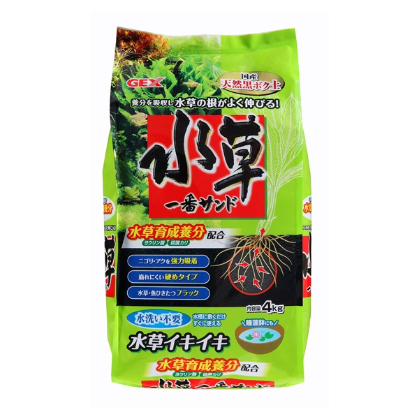 【Best one step up】毛铺草本12年+養生一號6本セット クリア歯ブラシ 3本セット/園児用おさるのジョージ23