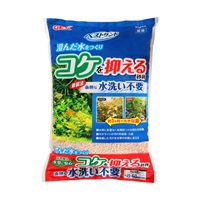 ベストサンド 6L GEX ジェックス(6L)