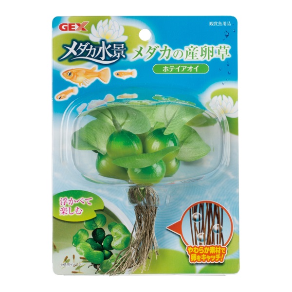 メダカ水景 メダカの産卵草 ホテイアオイ 1セット ジェックス | イオン
