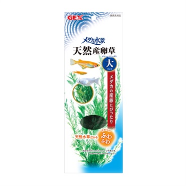 メダカ水景 天然産卵草 大 GEX ジェックス | イオンスタイルオンライン