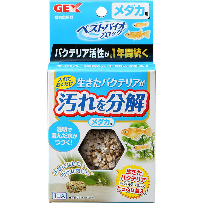 ベストバイオブロック メダカ用 1個 ジェックス GEX ジェックス(4972547028709)