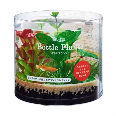 癒し水景 ボトルプランツ アヌビアス 1個 ジェックス