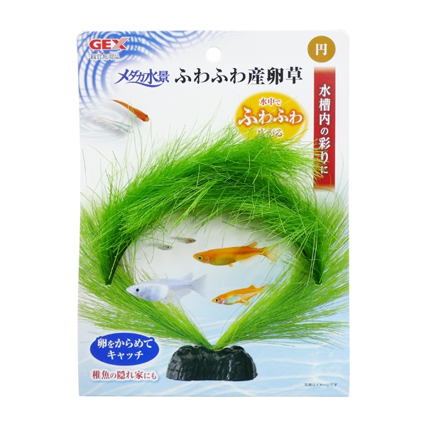 メダカ水景 ふわふわ産卵草 円 ジェックス | イオンスタイルオンライン
