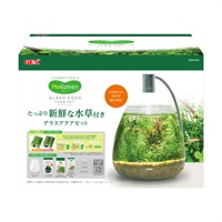グラスアクアリウムセット MeGreen 新鮮な水草付き グラスアクア ティアーセット 1個 GEX