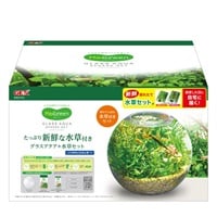 MeGreen新鮮な水草付きグラスアクアスフィアセット 1個 ジェックス(1個)
