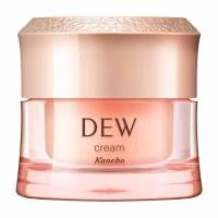 DEW(デュウ) クリーム 30g カネボウ(本体)