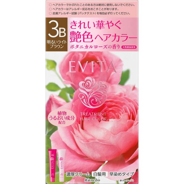 エビータ トリートメント ヘアカラー 45g+45g エビータ EVITA カネボウ