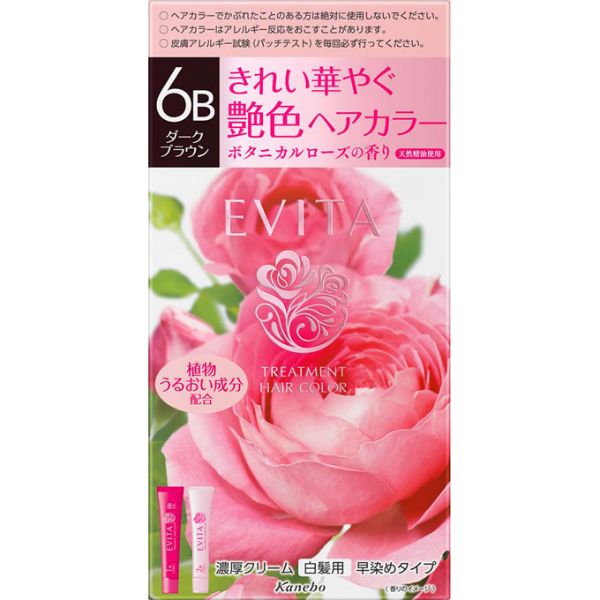 エビータ トリートメント ヘアカラー 45g+45g エビータ EVITA