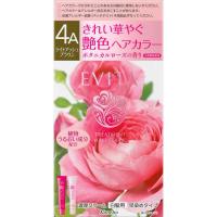 エビータ トリートメント ヘアカラー 45g+45g エビータ EVITA カネボウ 【医薬部外品】(4A)