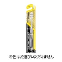 デンタルプロ ブラックダイヤ プラス ワイド ふつう 1本 DENTALPRO(歯面フィットケア)