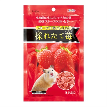ピッコリーノ フルーツ王国プレミアム 採れたて苺 46g Piccolino スドー