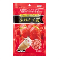 ピッコリーノ フルーツ王国プレミアム 採れたて苺 46g Piccolino スドー(46g)