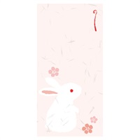 のし袋縁起もん 万型 兎(53882)