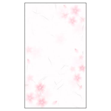 のし袋 和ごころ 五型