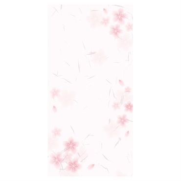 のし袋 和ごころ 万型