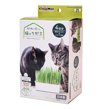おうちで育てる 猫の生野菜 4回分 キャティーマン CattyMan ドギーマンハヤシ