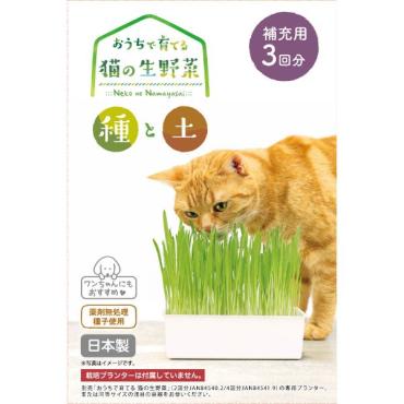 おうちで育てる 猫の生野菜 種と土 3回分 キャティーマン CattyMan