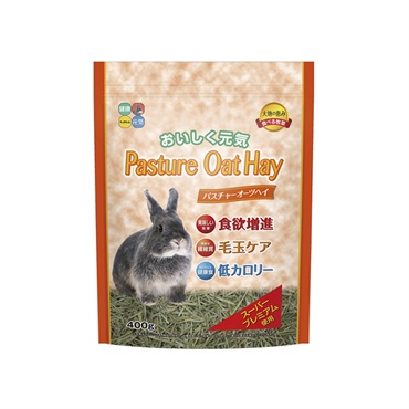 パスチャー オーツヘイ 400g ハイペット