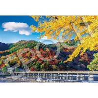 日本風景 300 秋彩る渡月橋 京都 300ピース (完成サイズ:38×26cm)  4977389263738(4977389263738)